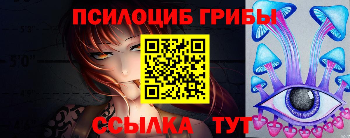 Приморско-Ахтарск  Псилоцибиновые грибы Cubensis  Вход с VPN 